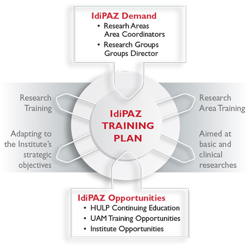 Esquema formación IdiPAZ