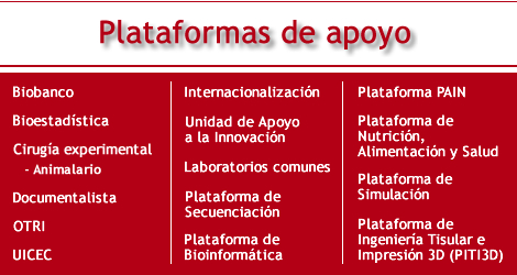 Plataformas de apoyo