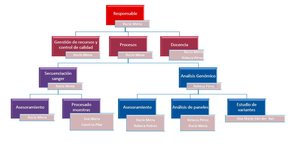 Estructura plataforma