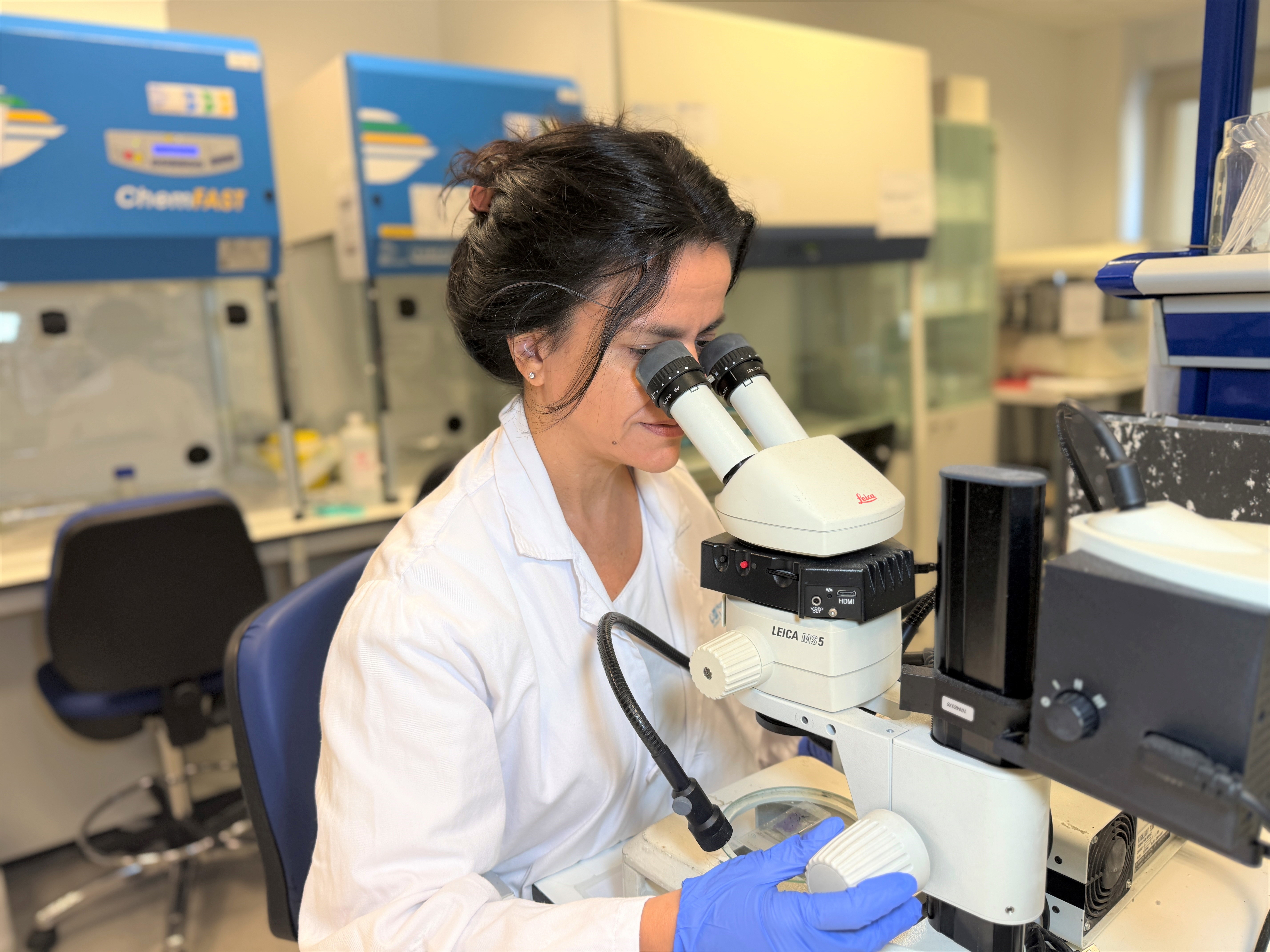 Proyectos de investigación IdiPAZ